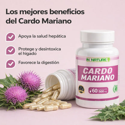 CARDOFUEL – Desintoxicación y Bienestar Total